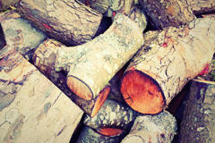 Wepre wood burning boiler costs